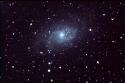M33