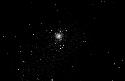 M79