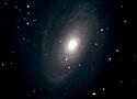 M81