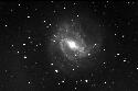 M83