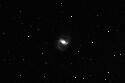 M91