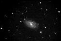 M109